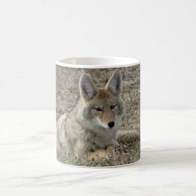 Taza De Café R22 Coyote Acostado (Centro)