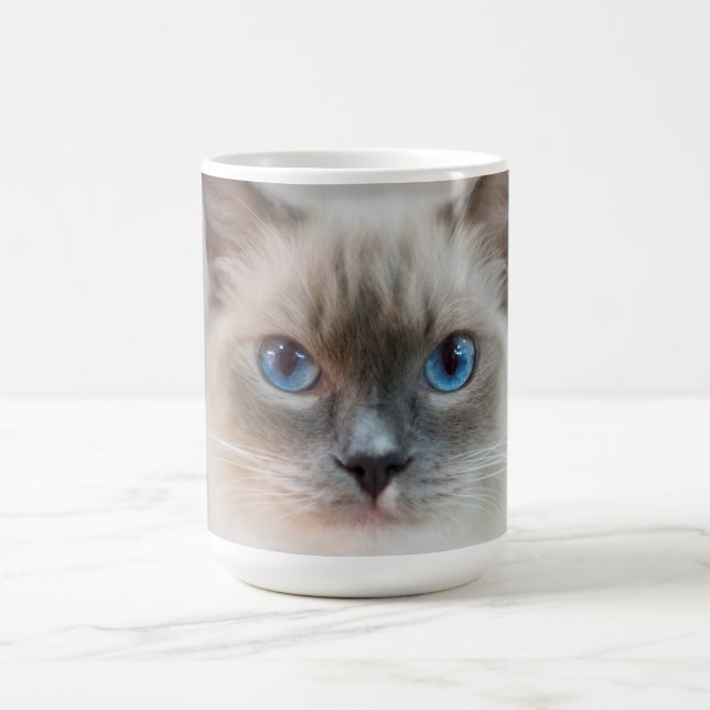 Taza De Café Ragdoll azul ‎ gato (Centro)