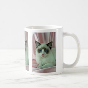 Taza De Café Ragdoll, sello bicolor