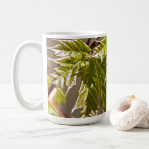 Taza De Café Rama de arce verde linda con hojas pequeñas