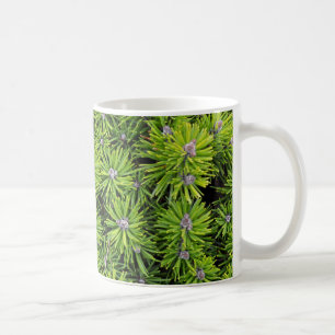 Taza De Café Ramas ecológicas