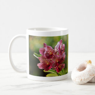 Taza De Café Ramo de Orquídea Vanda Tropical