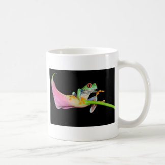 Taza De Café rana arbórea observada rojo