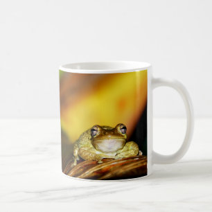 Taza De Café Rana de Buda