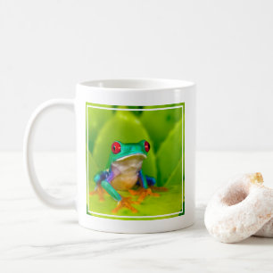 Taza De Café Rana de ojos rojos, Costa Rica