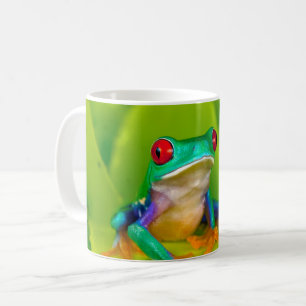 Taza De Café Rana de ojos rojos, Costa Rica