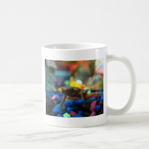 Taza De Café Rana enana africana