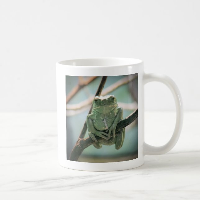 Taza De Café Rana verde suave sentada en una rama (Derecha)