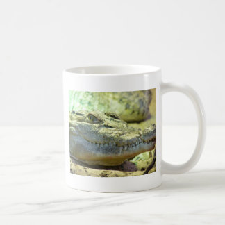 Taza De Café rápido