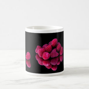 Taza De Café Raspberry Still Life
