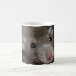 Taza De Café Rata curiosa