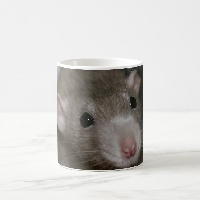 Taza De Café Rata curiosa (Centro)