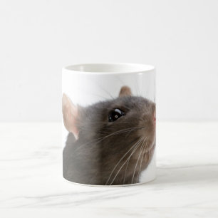 Taza De Café Ratas!!