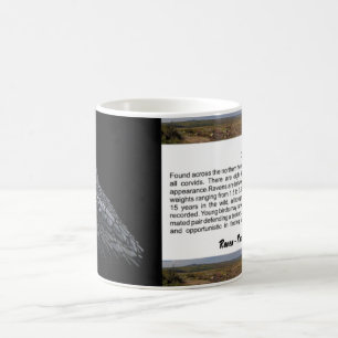 Taza De Café Raven