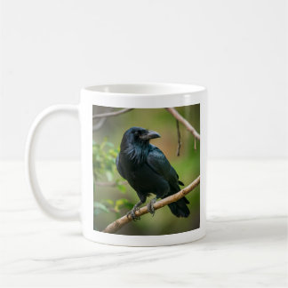 Taza De Café Raven en una rama de árbol
