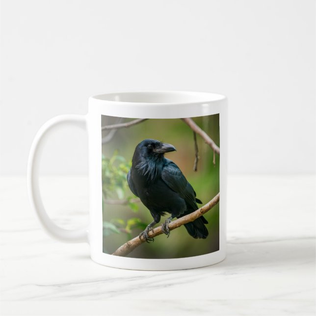 Taza De Café Raven en una rama de árbol (Izquierda)