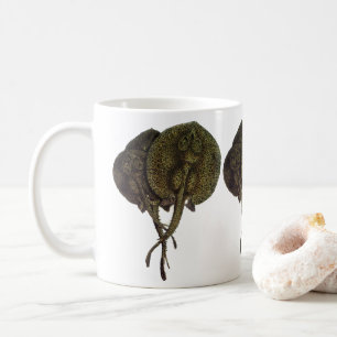 Taza De Café Rayas látigo Stingrays, Animales de la vida marina