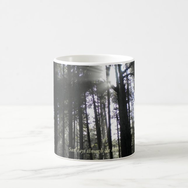 Taza De Café Rayos de Sun a través de los árboles (Centro)