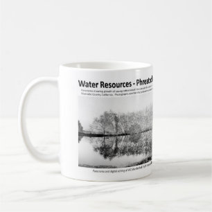 Taza De Café Recursos hídricos I - Phreatophytes en el paisaje