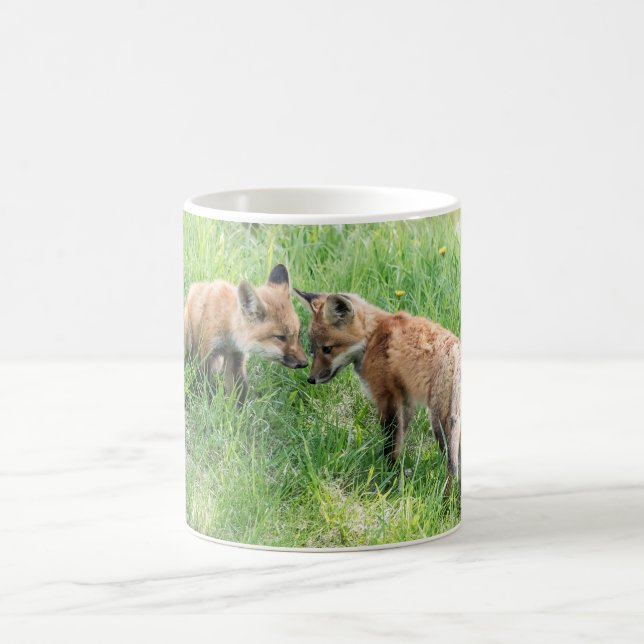 Taza De Café Red Fox Kits (Centro)