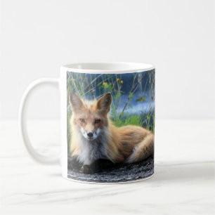 Taza De Café Red Fox Resting Mug