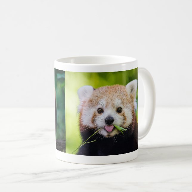 Taza De Café Red Panda (Anverso derecho)