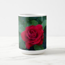 Taza De Café Red Rose Close