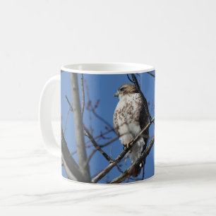 Taza De Café Red Tail Hawk
