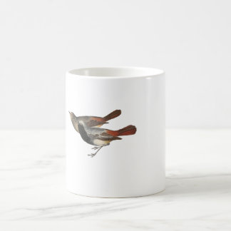 Taza De Café Redstart negro