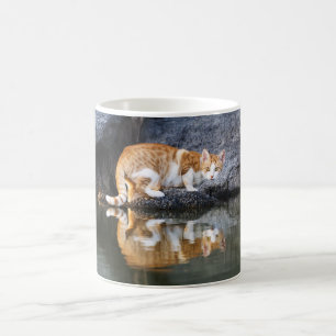 Taza De Café Reflexión del gato en una foto divertida de Pond W
