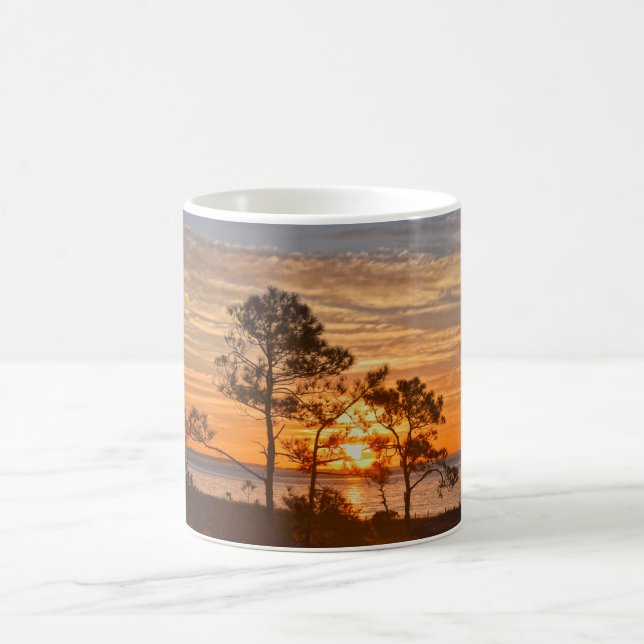 Taza De Café Refugio de la isla Dauphin Sunrise, Alabama (Centro)