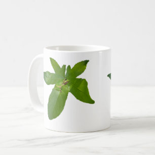 Taza De Café "Refugio de Leafy: una pequeña rana verde en una h