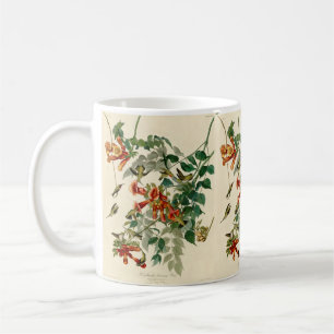 Taza De Café Regalo de pintura de pájaro humedecido Audubon 