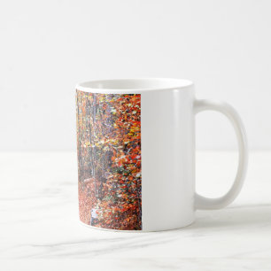 Taza De Café Regalos de acuarela del sendero del otoño del bosq