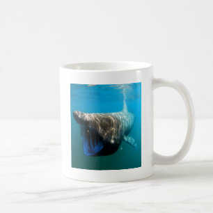 Taza De Café Regalos de destino oceánico tropical de los peces