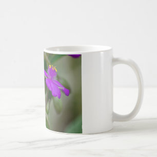 Taza De Café Regalos de flores silvestres de gemelos de Tradesc