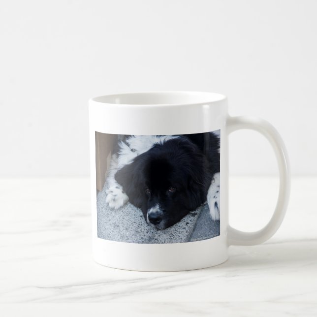 Taza De Café Regalos preciosos de Landseer Terranova (Derecha)