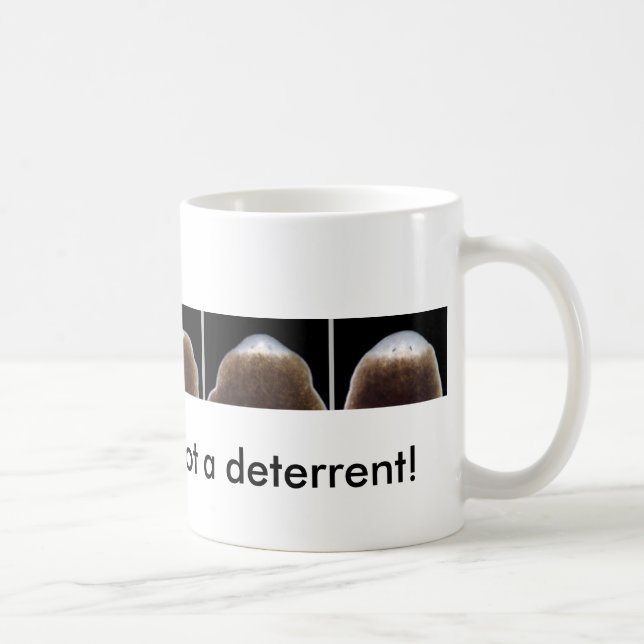 Taza De Café Regeneración del Planarian (Derecha)