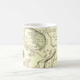 Taza De Café Región de Anterolateral de la anatomía del vintage