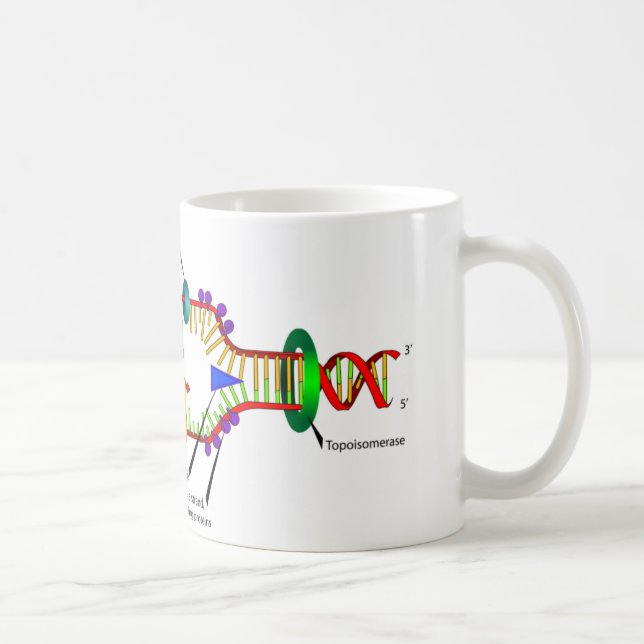 Taza De Café Réplica de la DNA (Derecha)