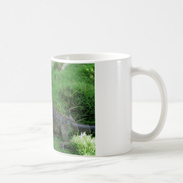 Taza De Café Reptiles Look.JPG (Derecha)
