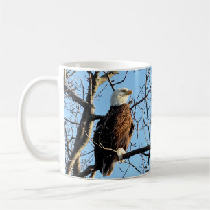 Taza De Café Retrato de águila calva