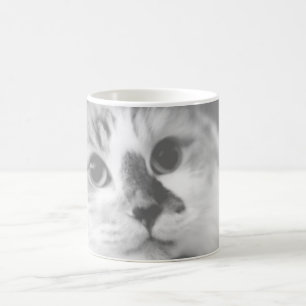 Taza De Café Retrato de gato SUPER CUTE