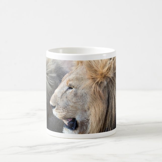 Taza De Café Retrato de león (Centro)