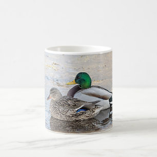 Taza De Café Retrato de un mallard masculino y femenino