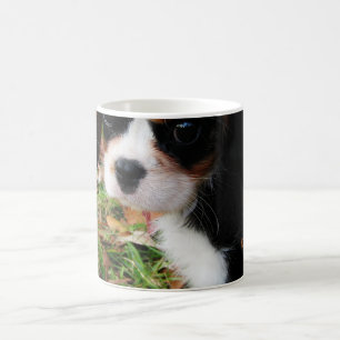 Taza De Café Rey Charles Cavalier Spaniel Mug