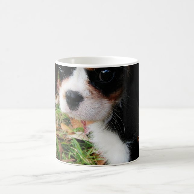 Taza De Café Rey Charles Cavalier Spaniel Mug (Centro)