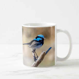 Taza De Café Reyezuelos hadas de Australia