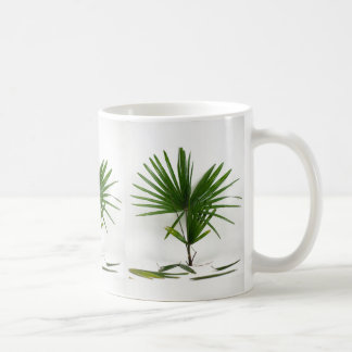 Taza De Café Rhapis Excelsa (Palma de Dama) recién cosechada