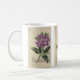 Taza De Café Rhododendon de Paul Jerrard